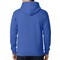 Gildan Unisex Fleece Hooded Sweatshirt 18500, Pullover Hoodie for Arts & Craft